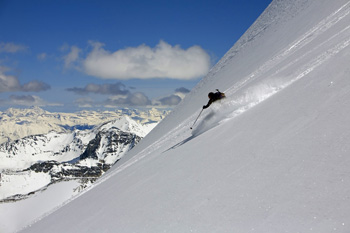 Click here for hi-res version